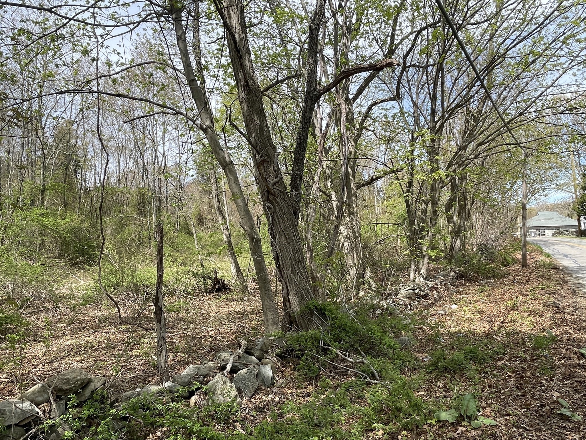2734 Elm Street (Lot 2) Property Photo 1