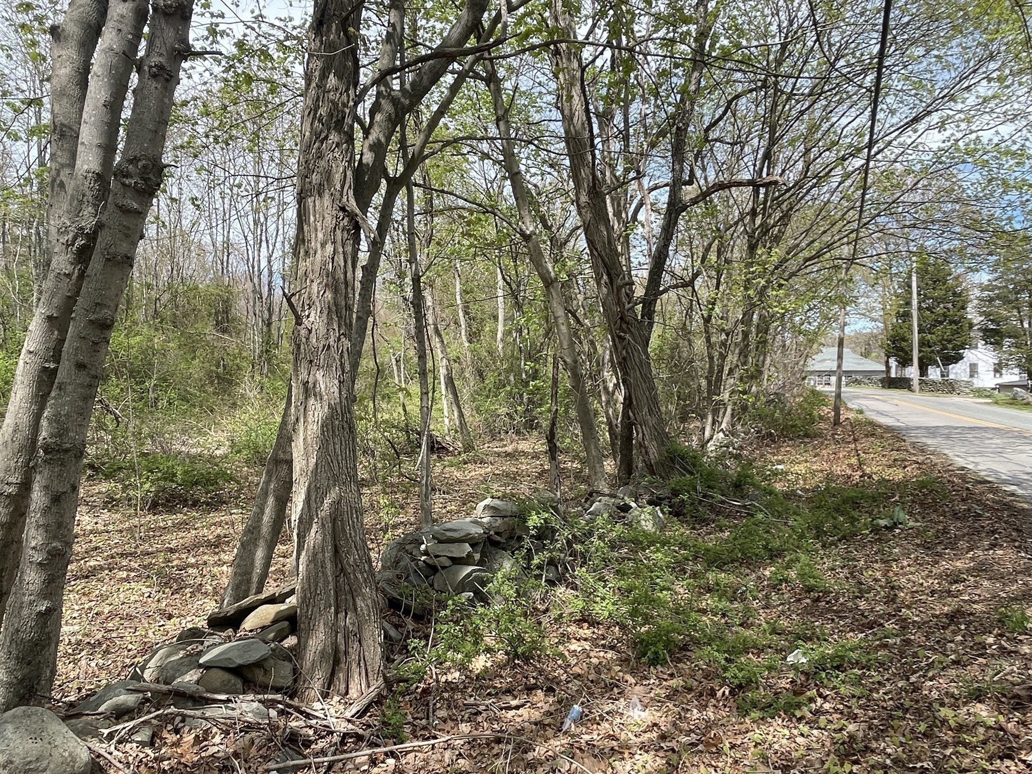 2734 Elm Street (lot 2) Property Photo 2
