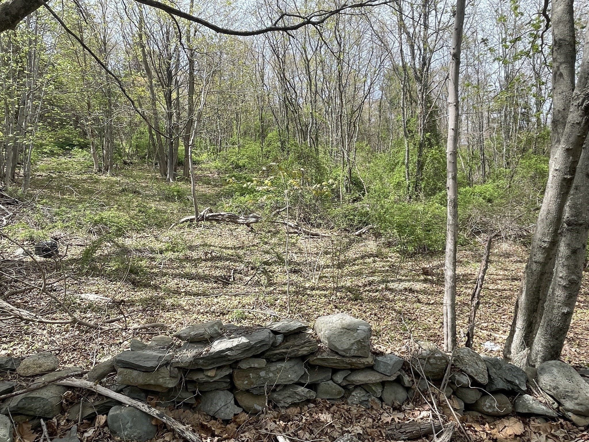 2734 Elm Street (lot 2) Property Photo 7