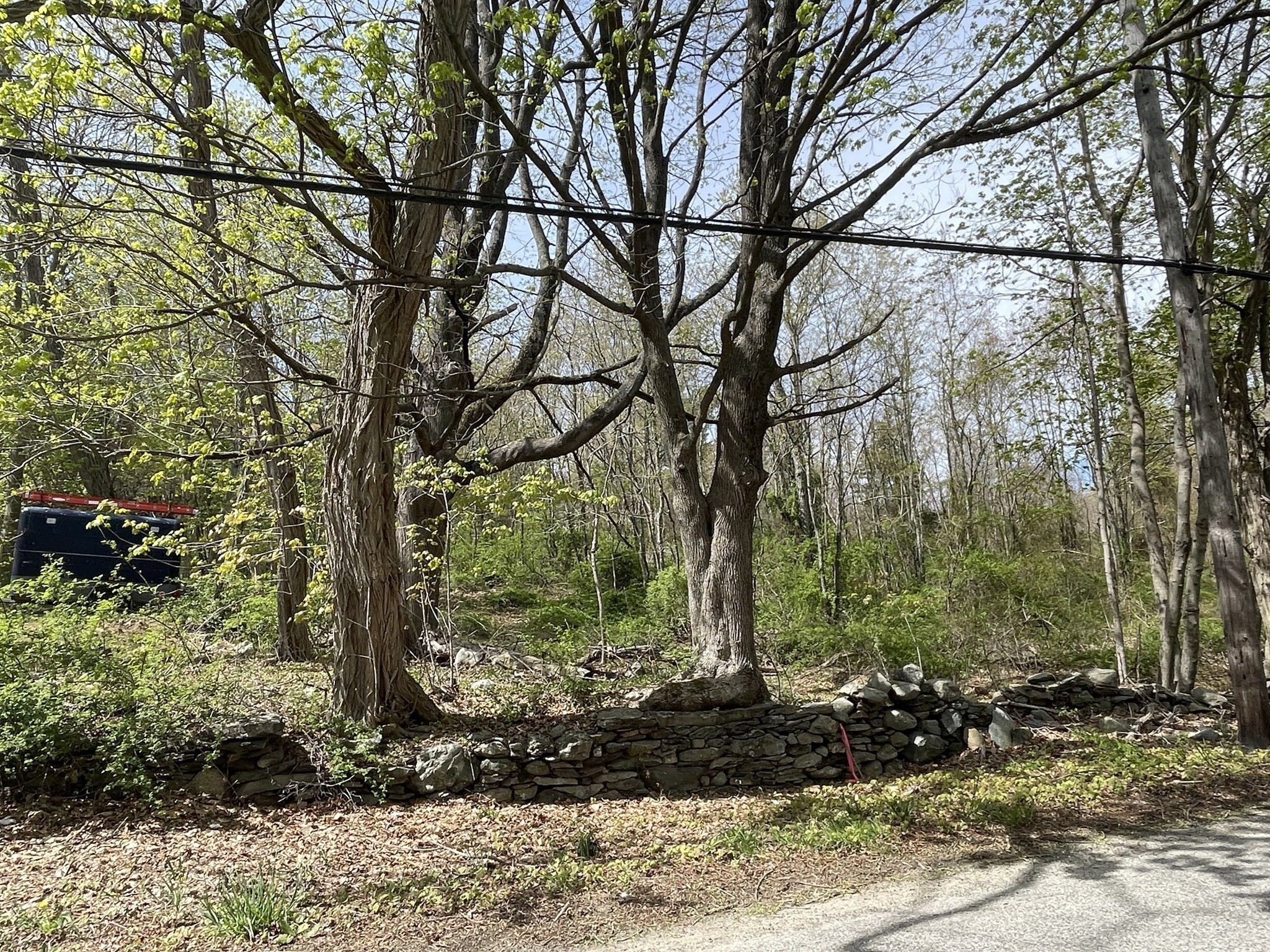 2734 Elm Street (lot 2) Property Photo 9