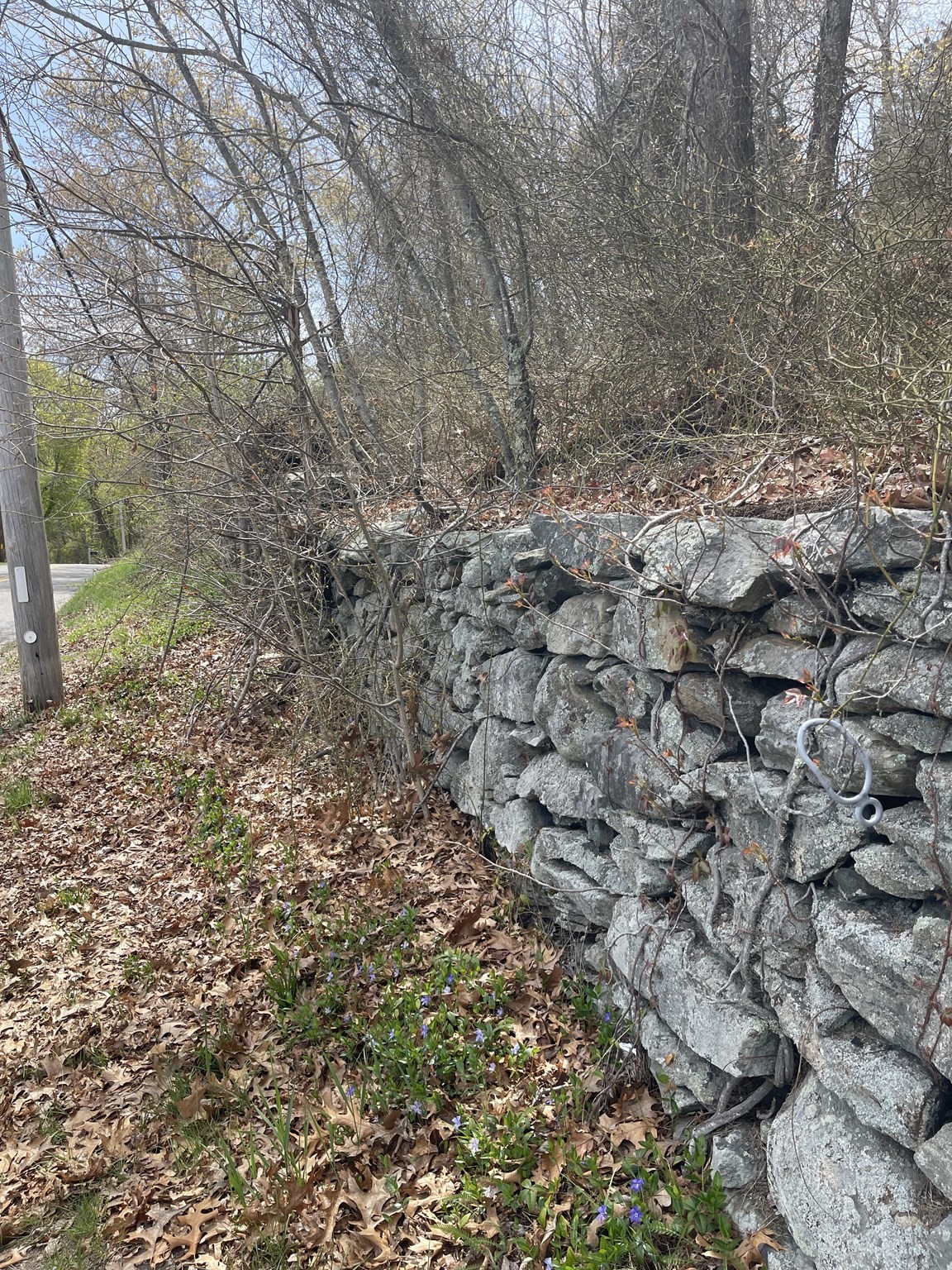2734 Elm Street (lot 2) Property Photo 10