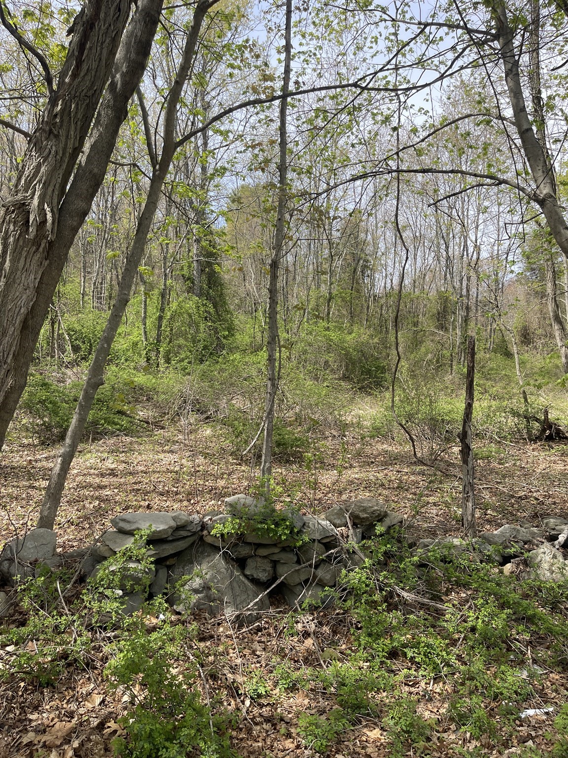 2734 Elm Street (lot 2) Property Photo 14