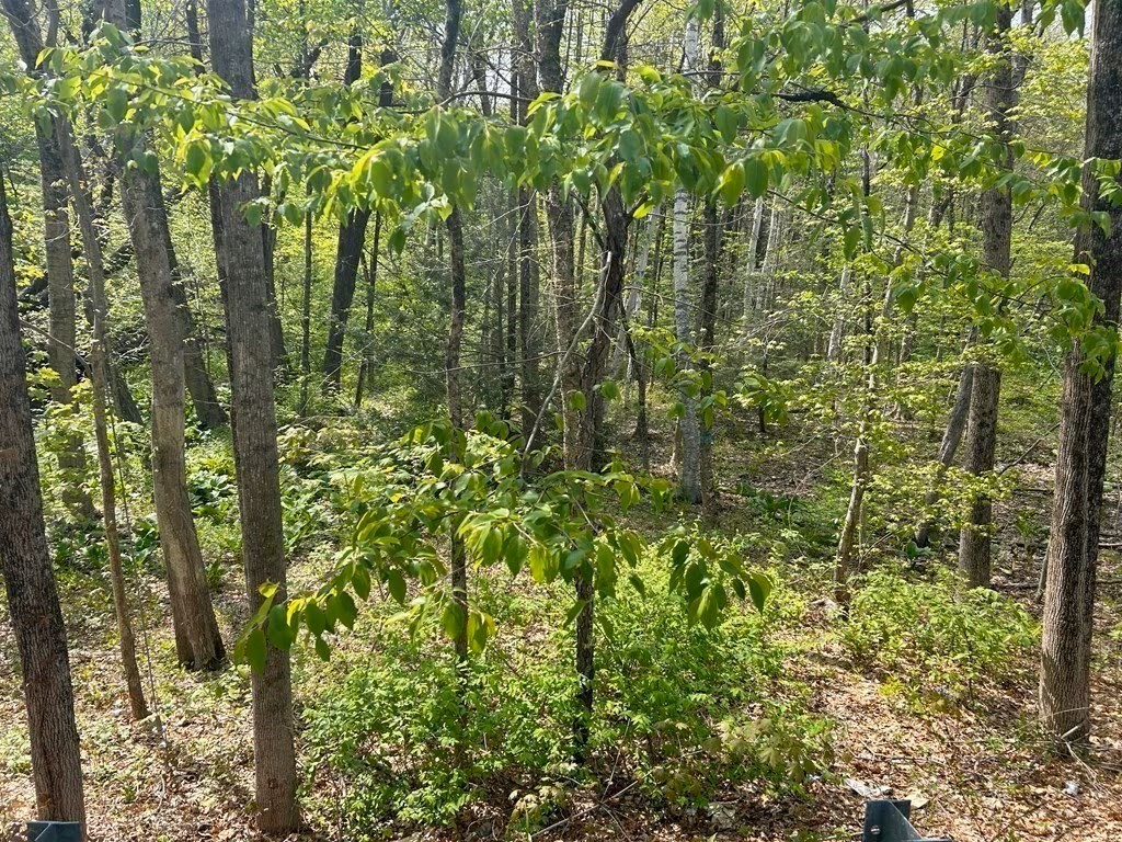 45 Fox Hill Rd Property Photo 1