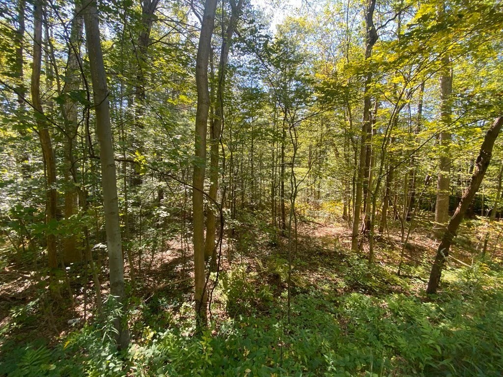 45 Fox Hill Rd Property Photo 2