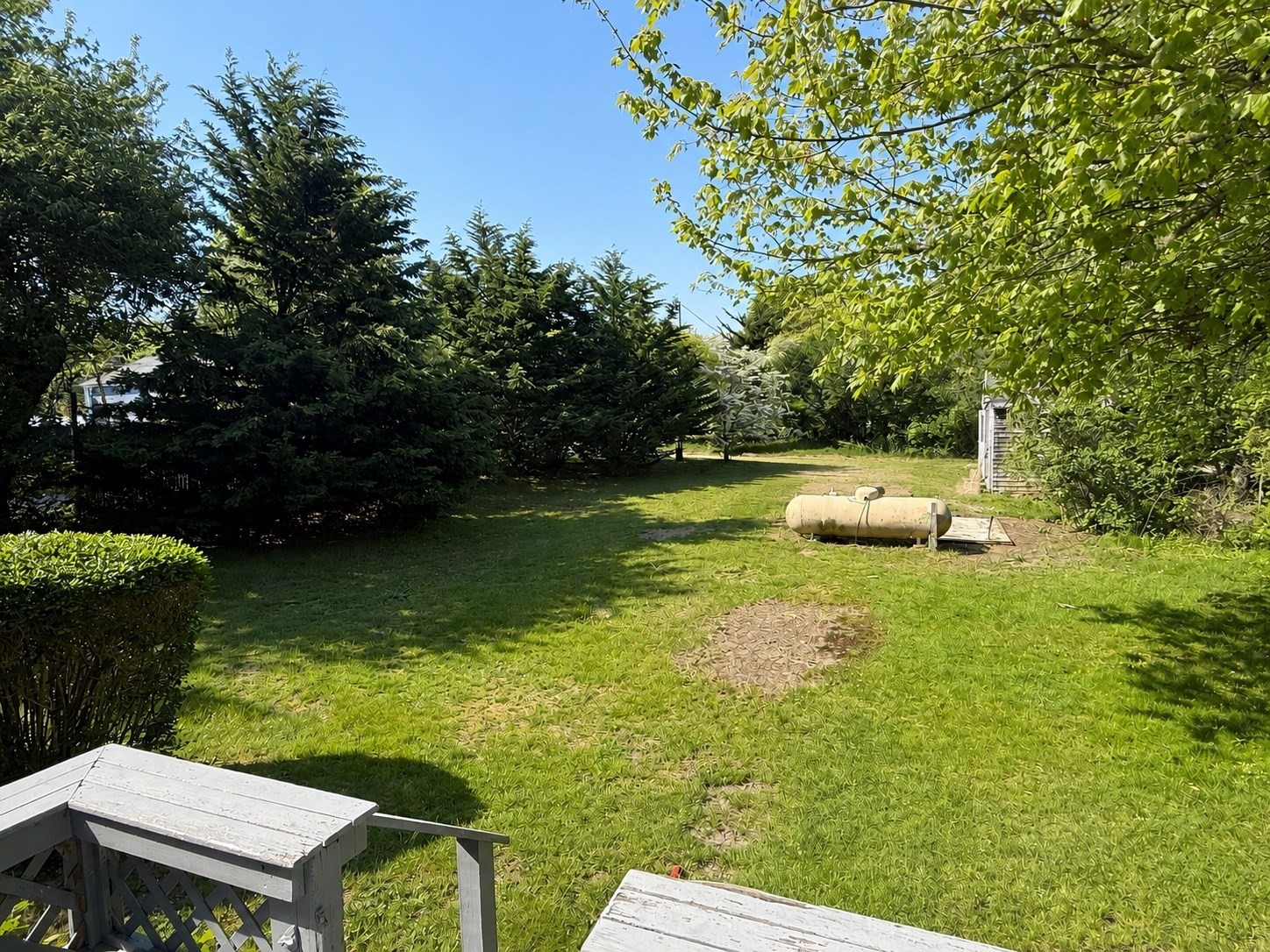 19 Perkins Avenue Property Photo 14