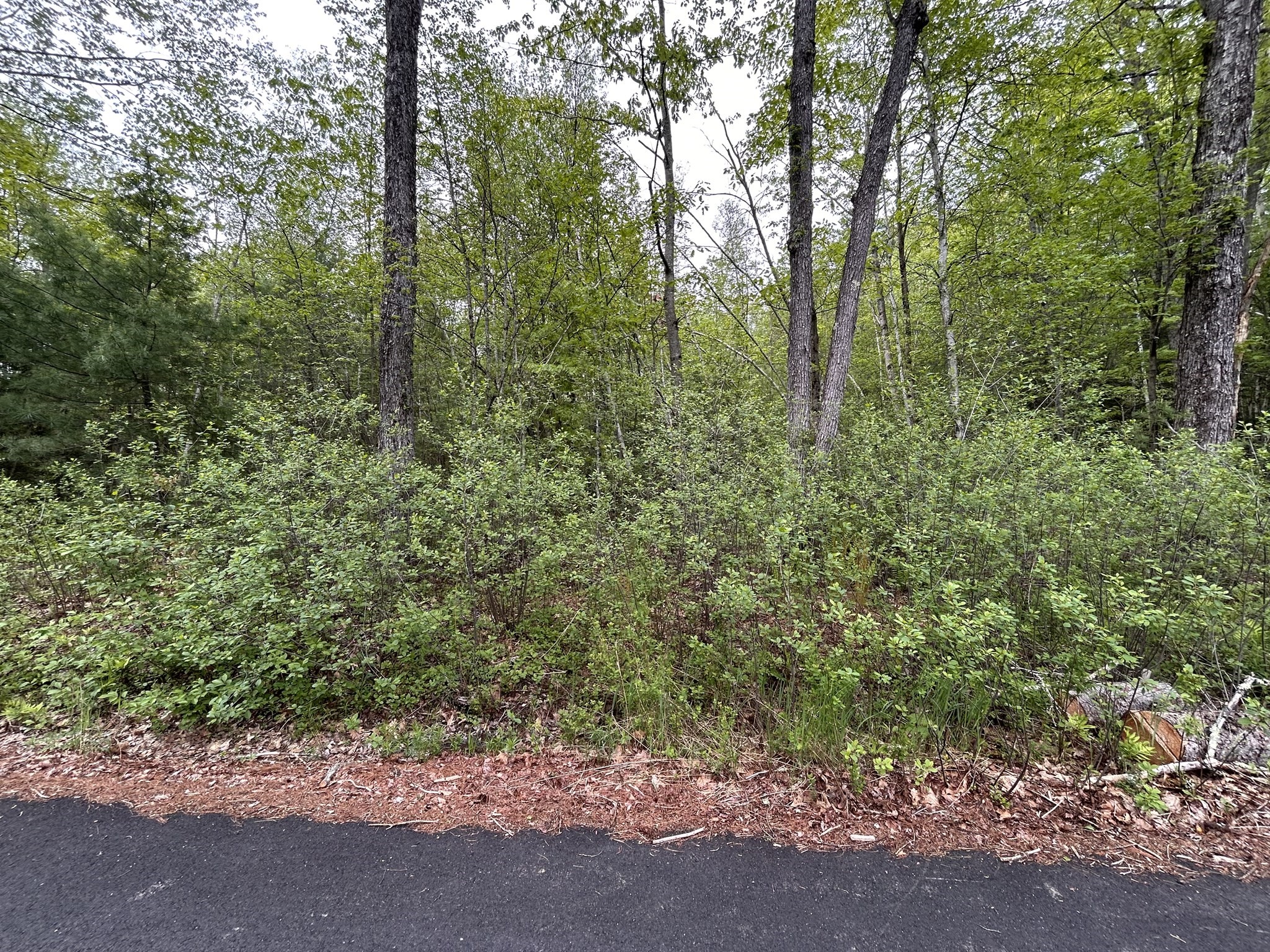 0 Lot 2 Stoddard Rd Property Photo 1