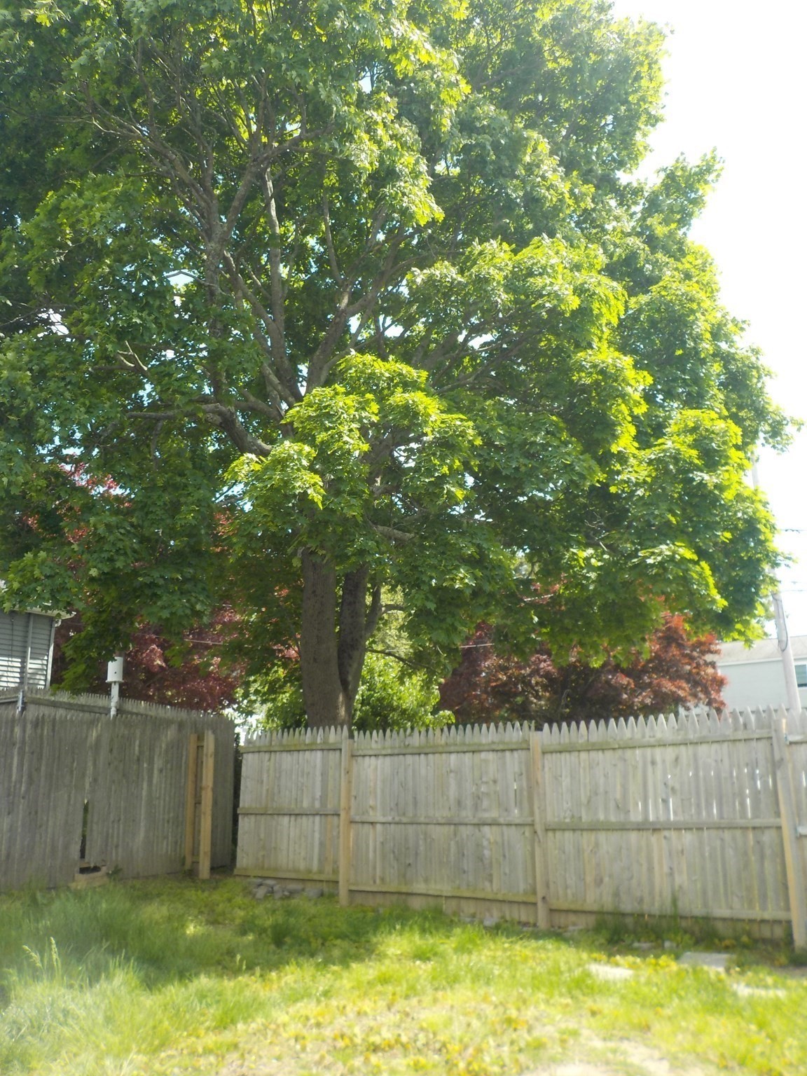 85 Maplewood Ave Property Photo 35