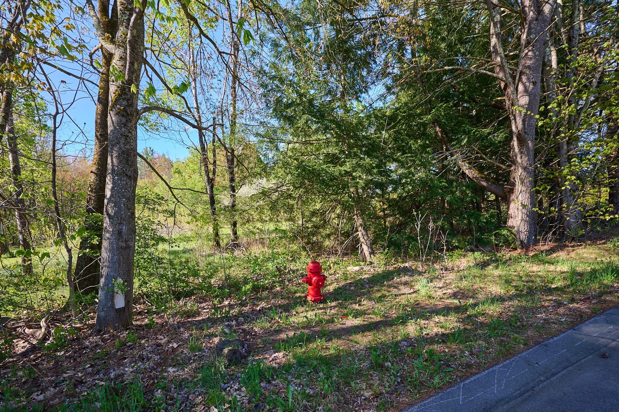 0 Radiker Property Photo 13