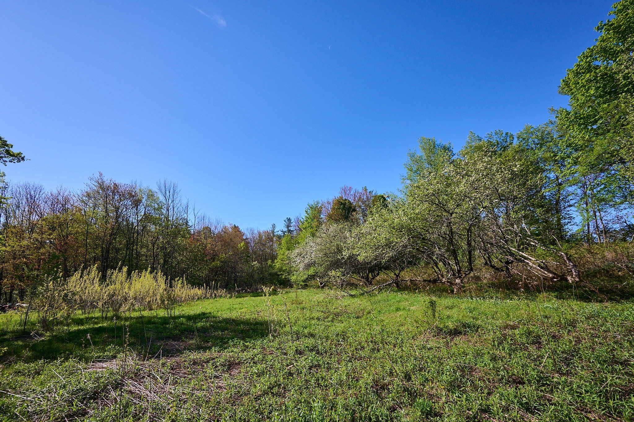0 Radiker Property Photo 14