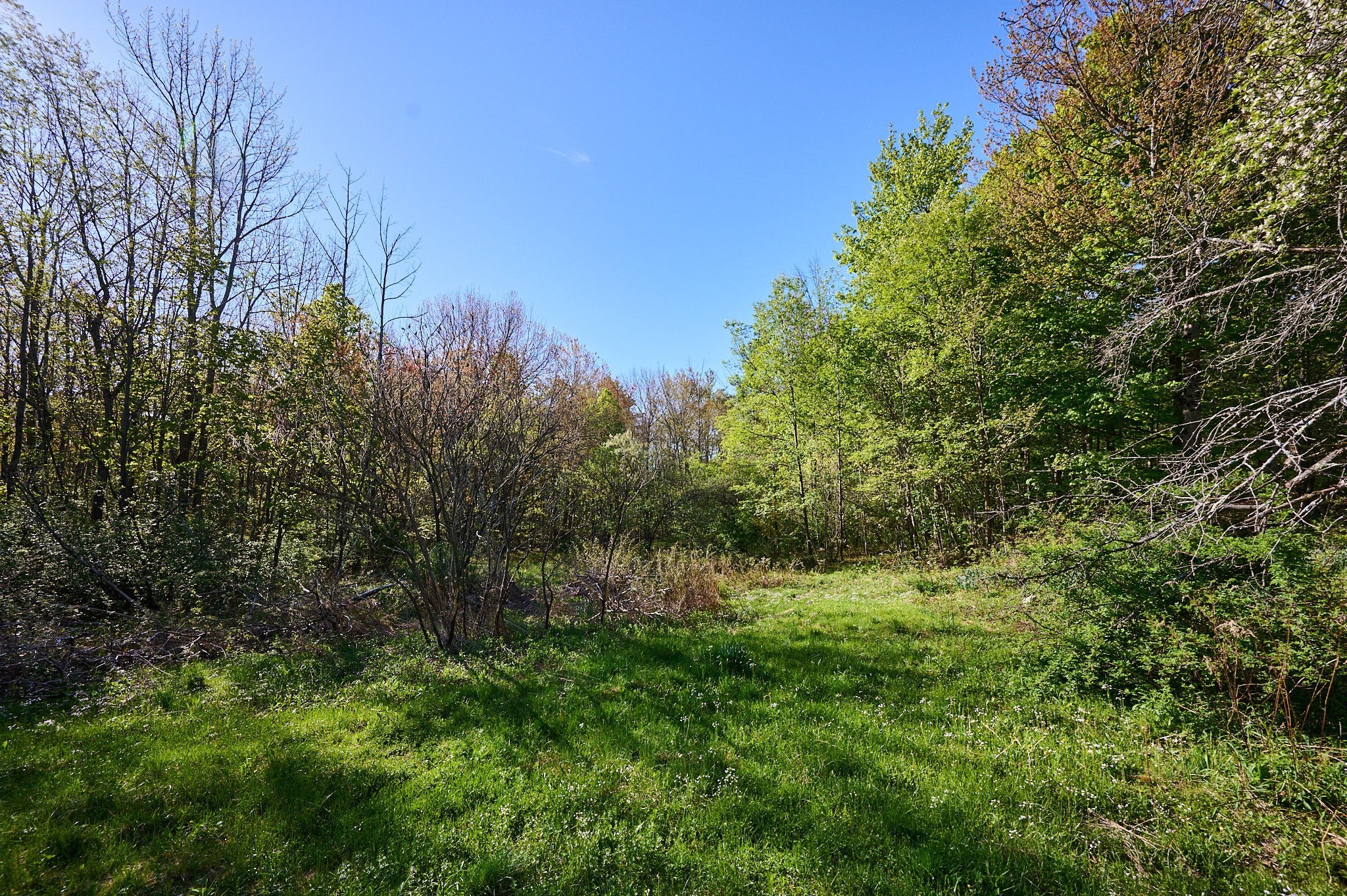 0 Radiker Property Photo 15