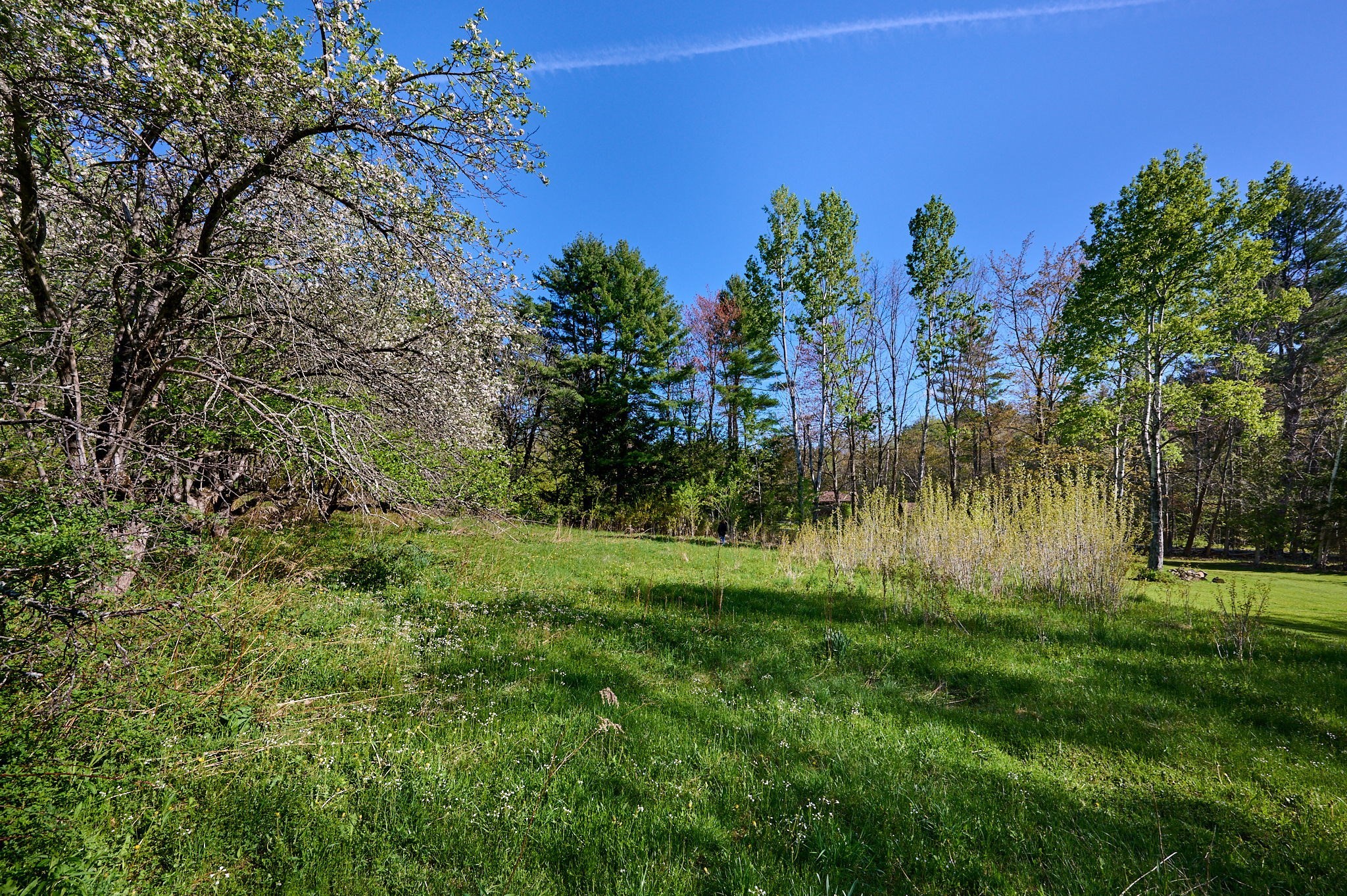 0 Radiker Property Photo 16