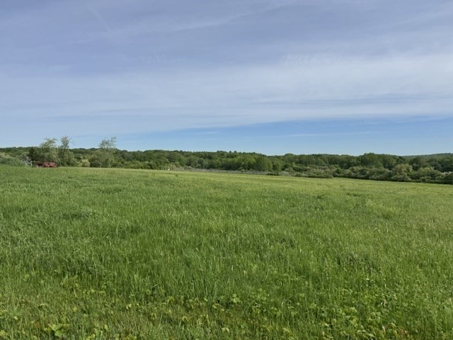 250 West Wrentham Road Property Photo 3