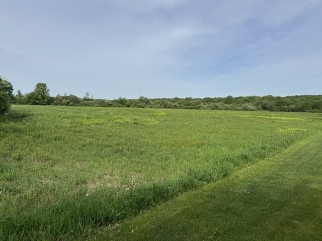 250 West Wrentham Road Property Photo 4
