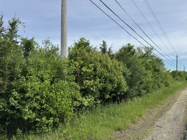 250 West Wrentham Road Property Photo 5