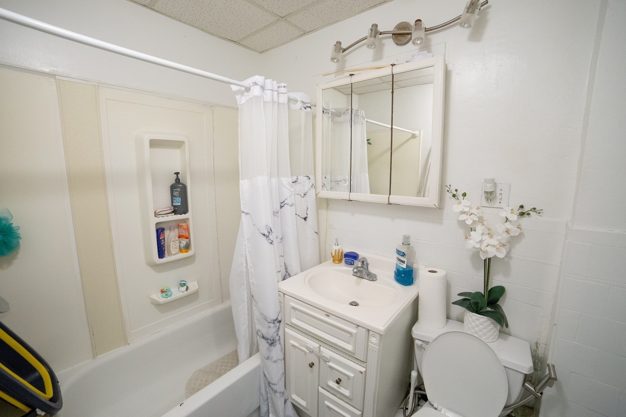 5 Suffield St Property Photo 19