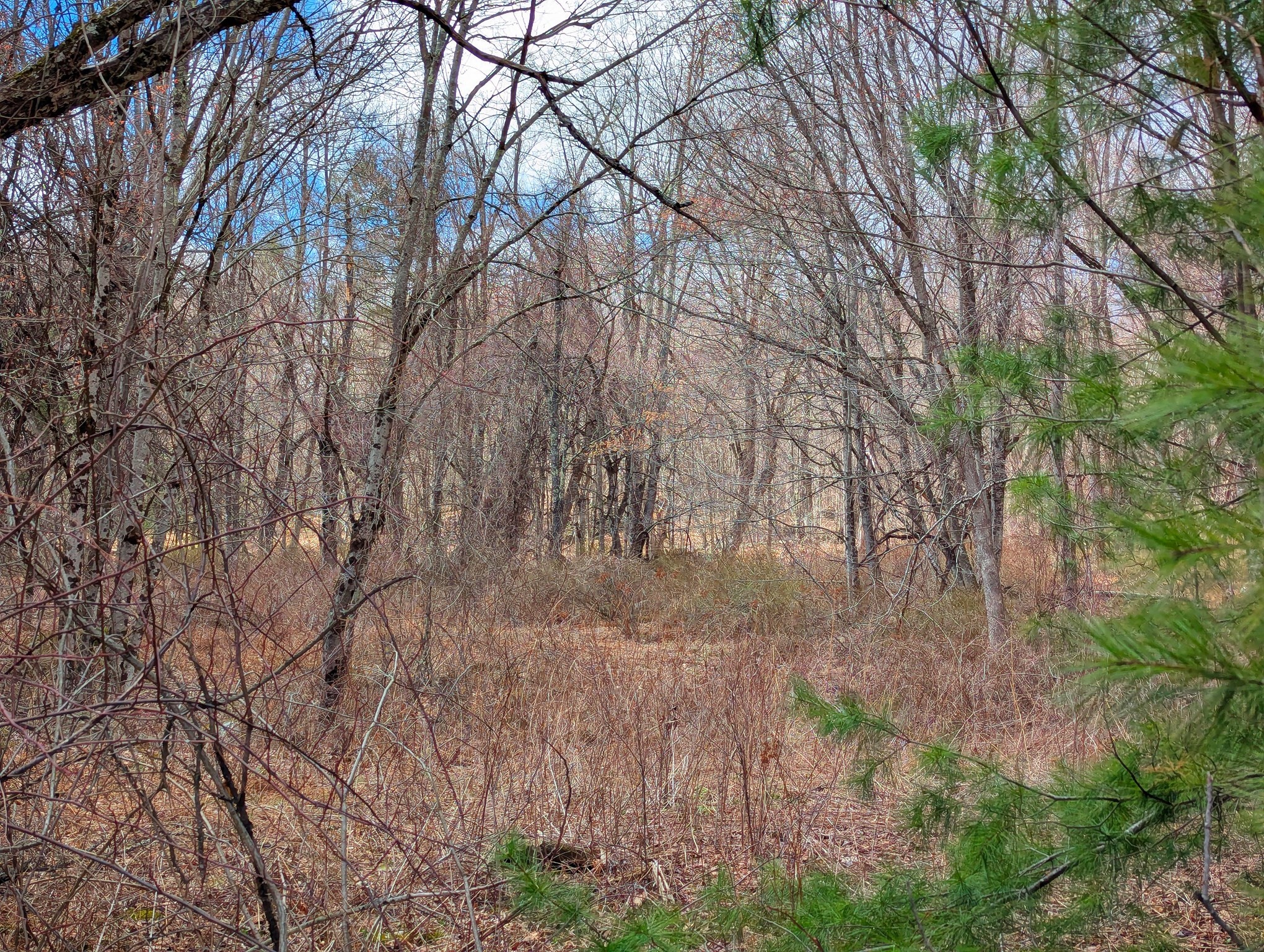Lot 33.03 William Holmes Rd Property Photo 8