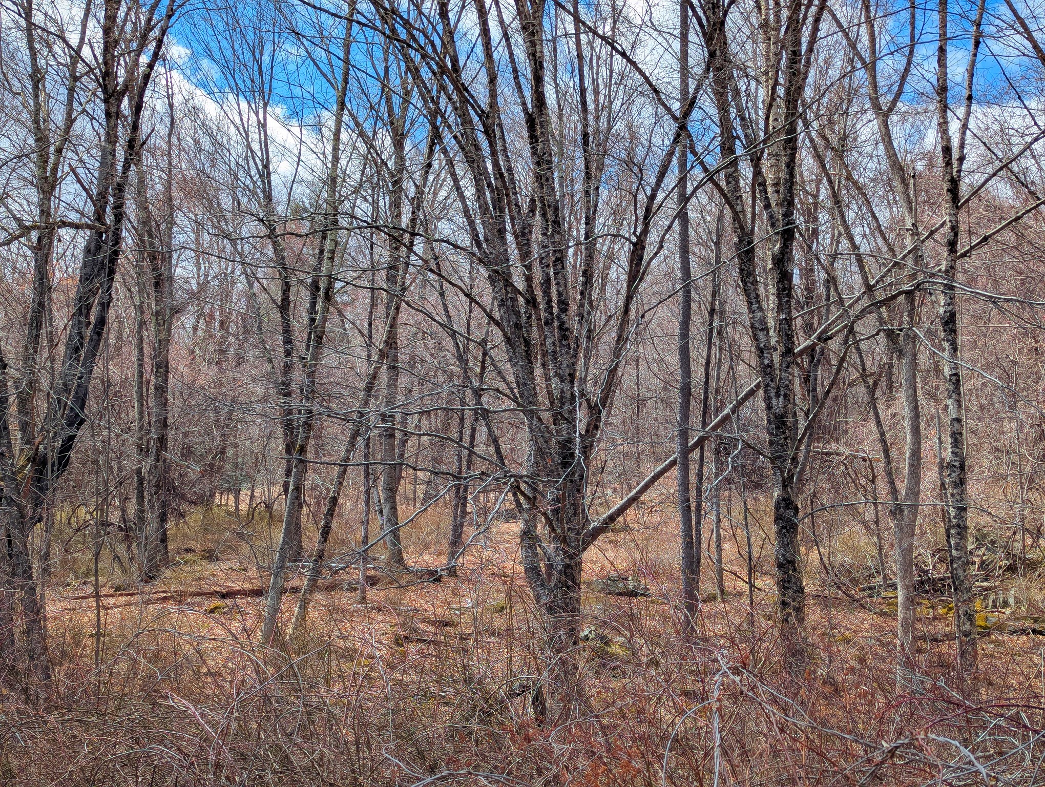 Lot 33.03 William Holmes Rd Property Photo 9