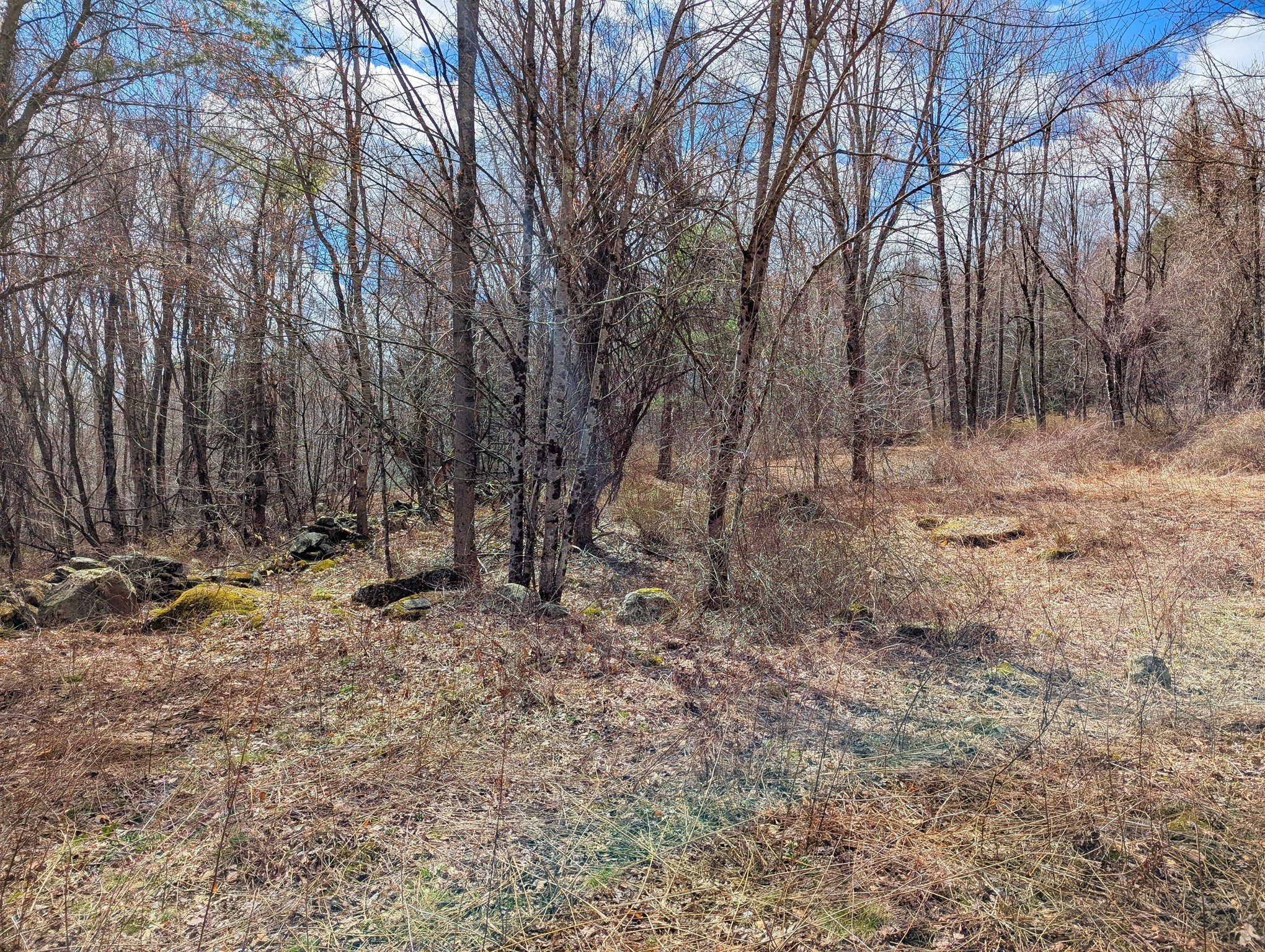 Lot 33.03 William Holmes Rd Property Photo 10