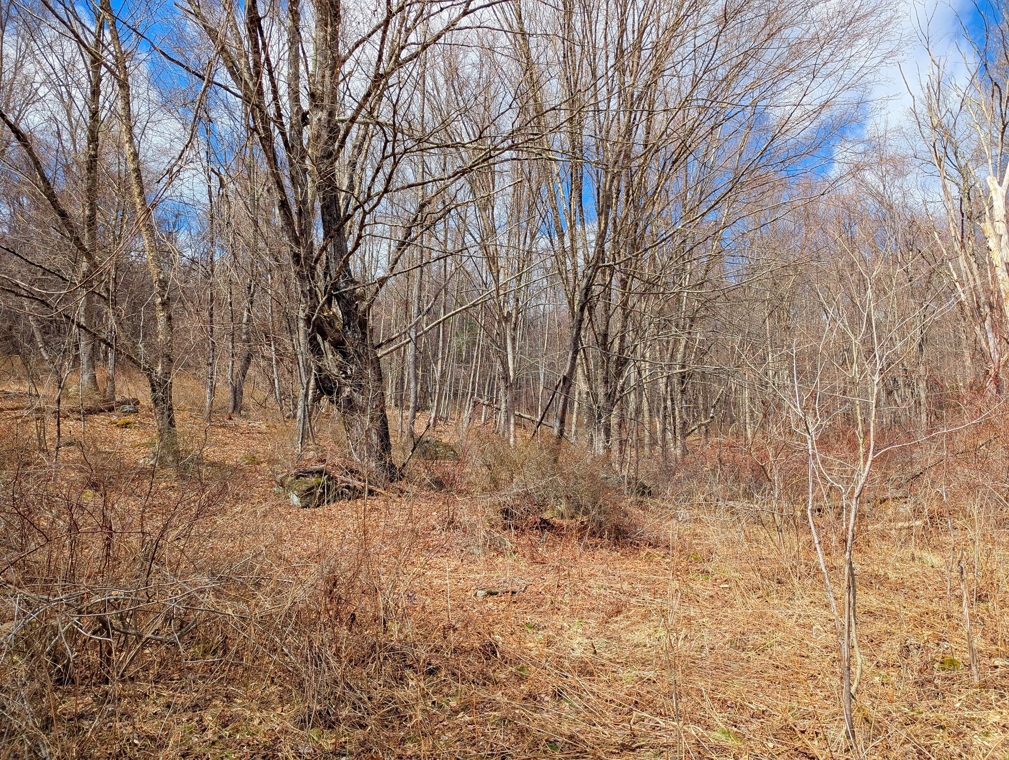 Lot 33.03 William Holmes Rd Property Photo 11