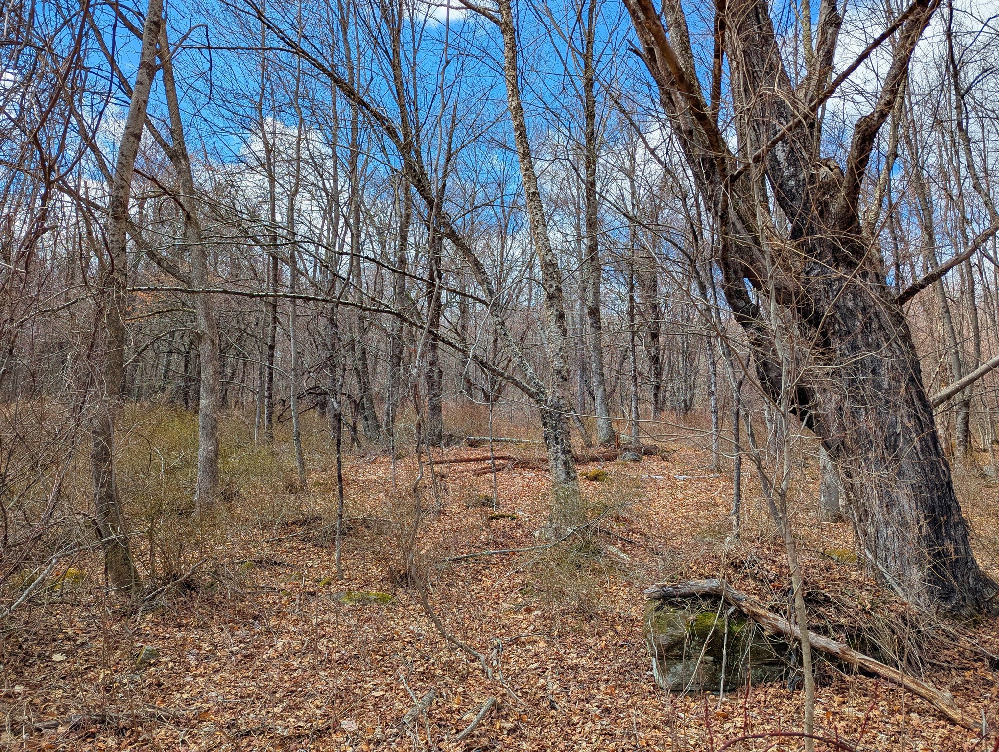 Lot 33.03 William Holmes Rd Property Photo 12