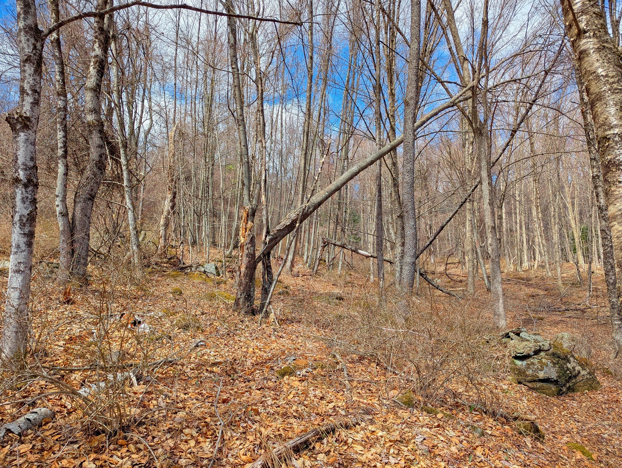 Lot 33.03 William Holmes Rd Property Photo 13