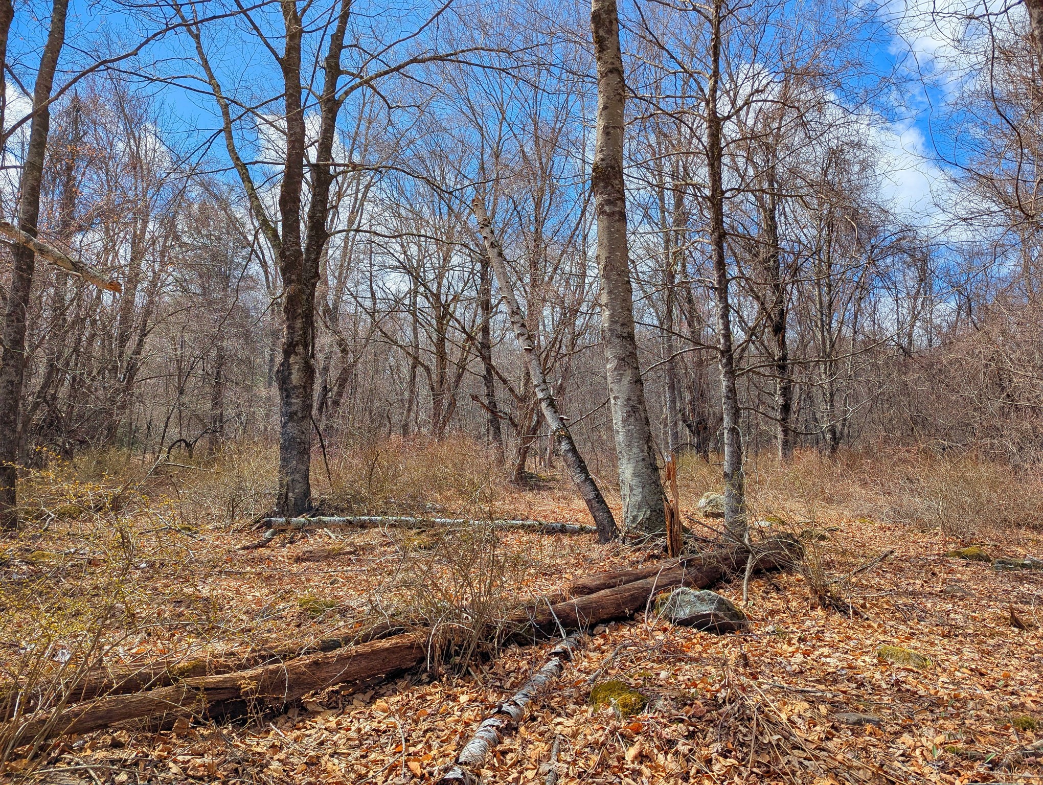 Lot 33.03 William Holmes Rd Property Photo 14