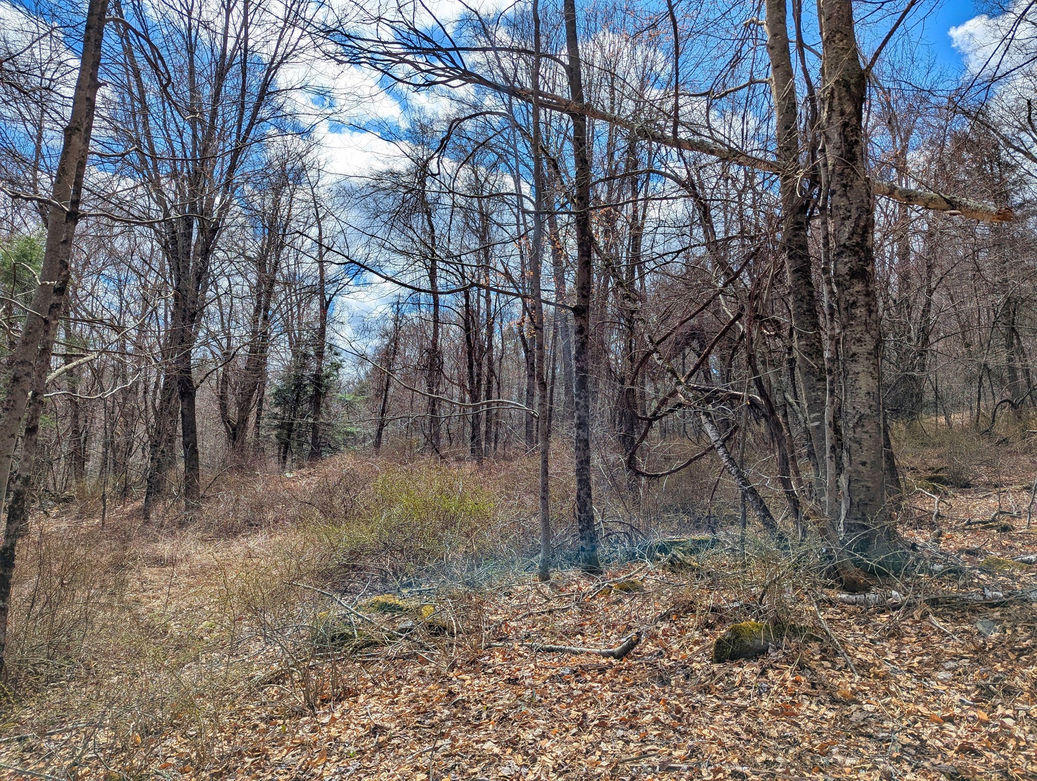 Lot 33.03 William Holmes Rd Property Photo 15