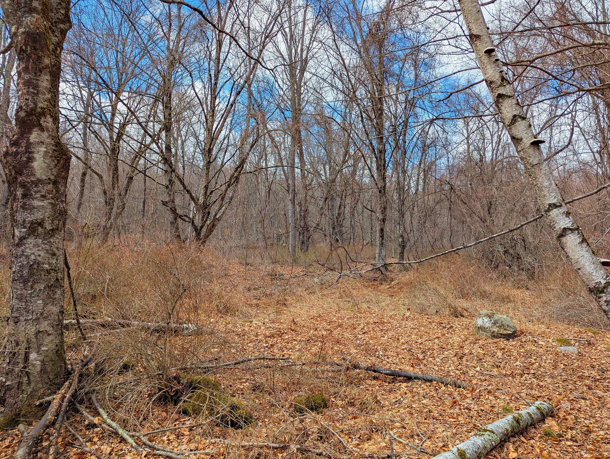 Lot 33.03 William Holmes Rd Property Photo 16