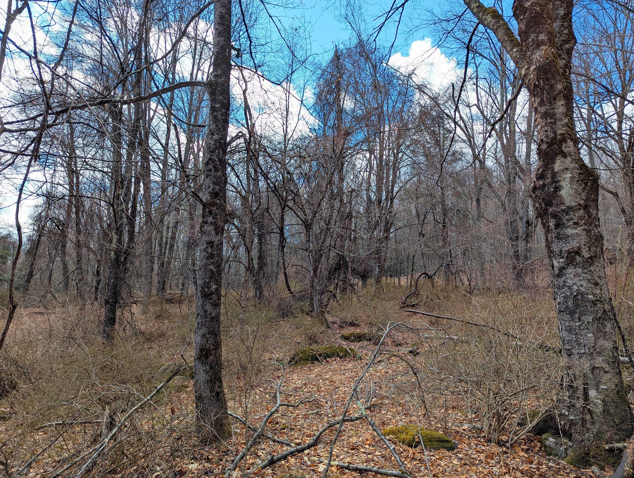 Lot 33.03 William Holmes Rd Property Photo 17