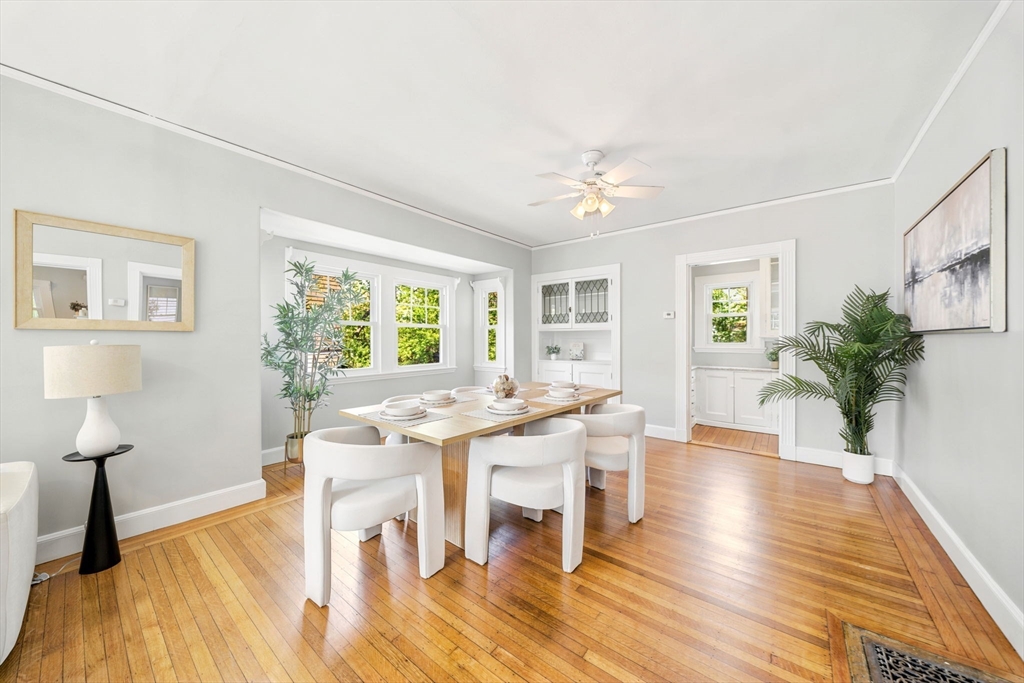 42 Roslin St Property Photo 18