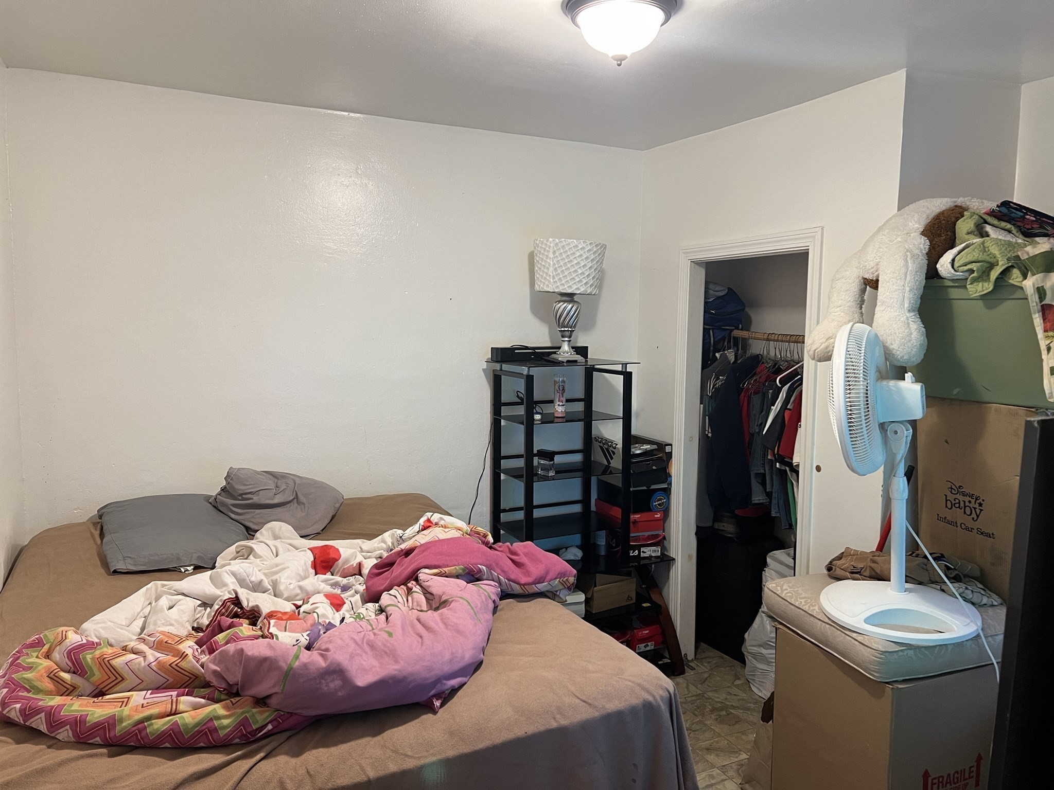 52 Ashley St Property Photo 8