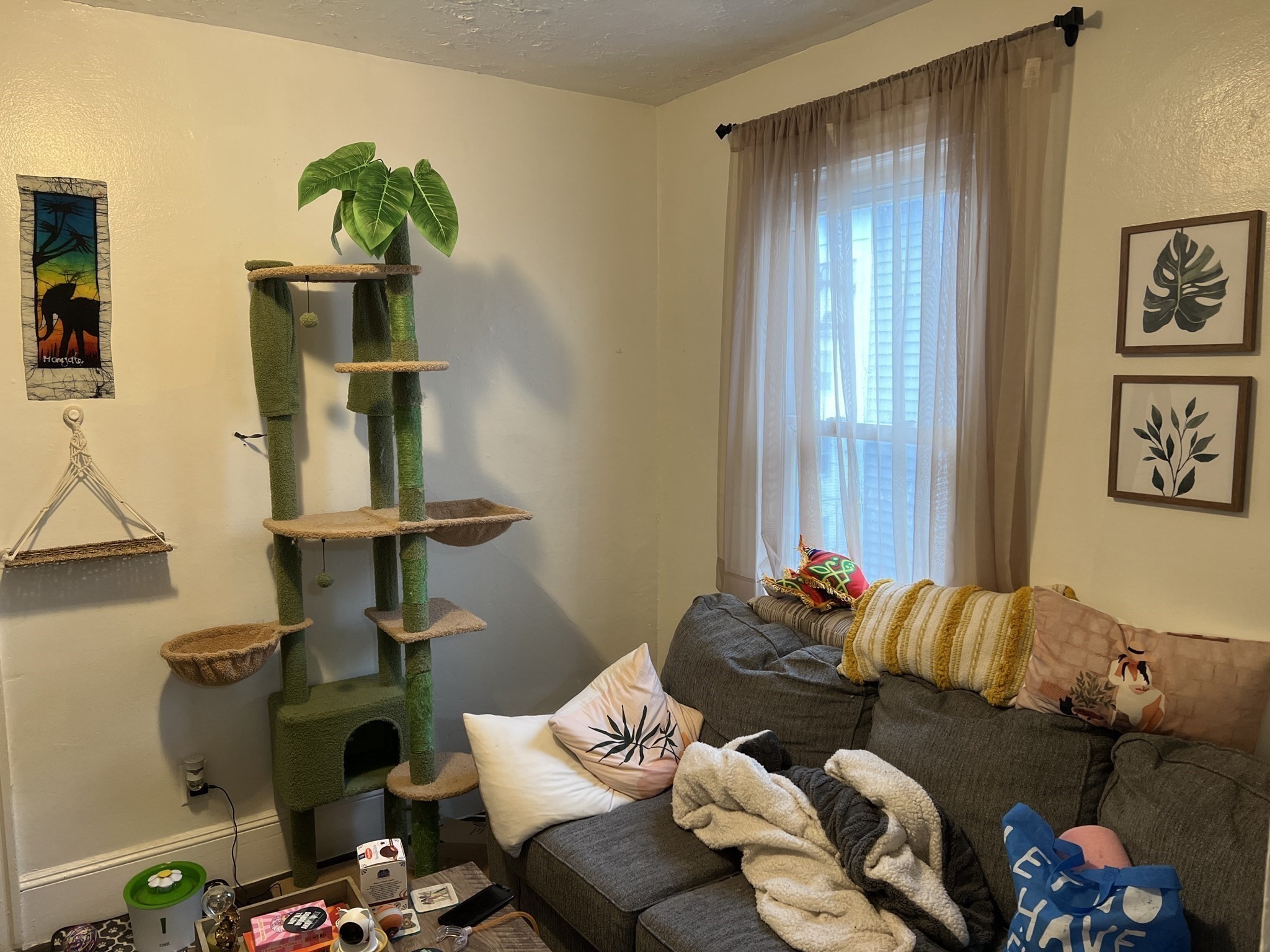 52 Ashley St Property Photo 13