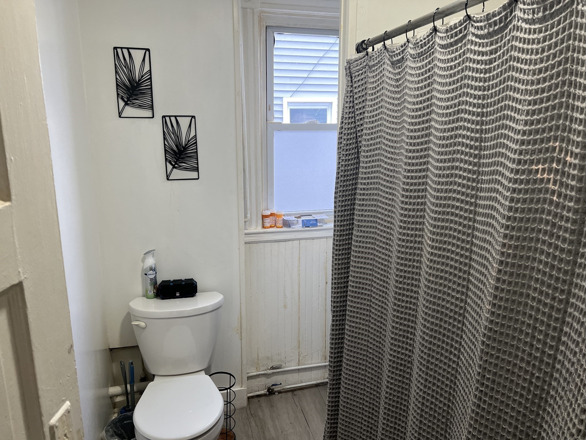 52 Ashley St Property Photo 16