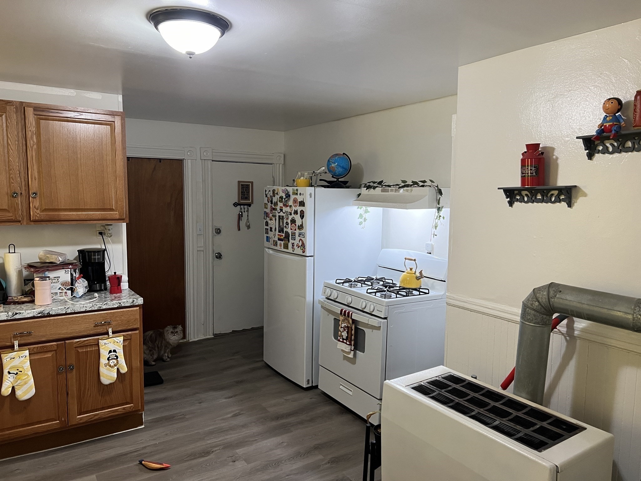 52 Ashley St Property Photo 31