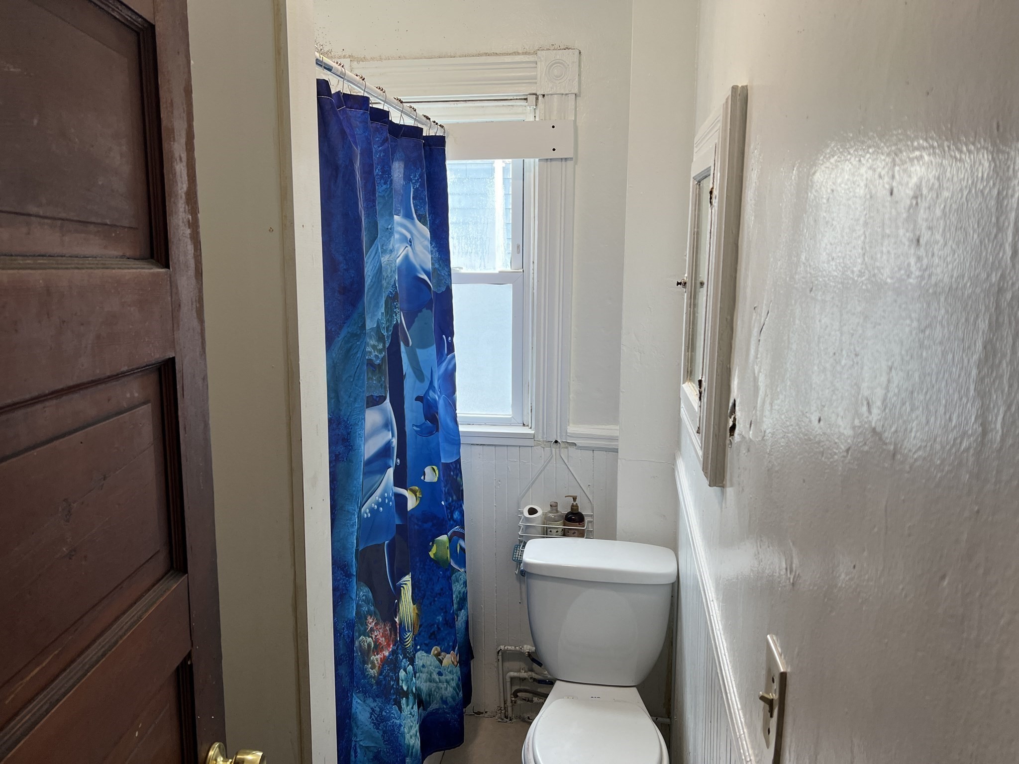52 Ashley St Property Photo 39