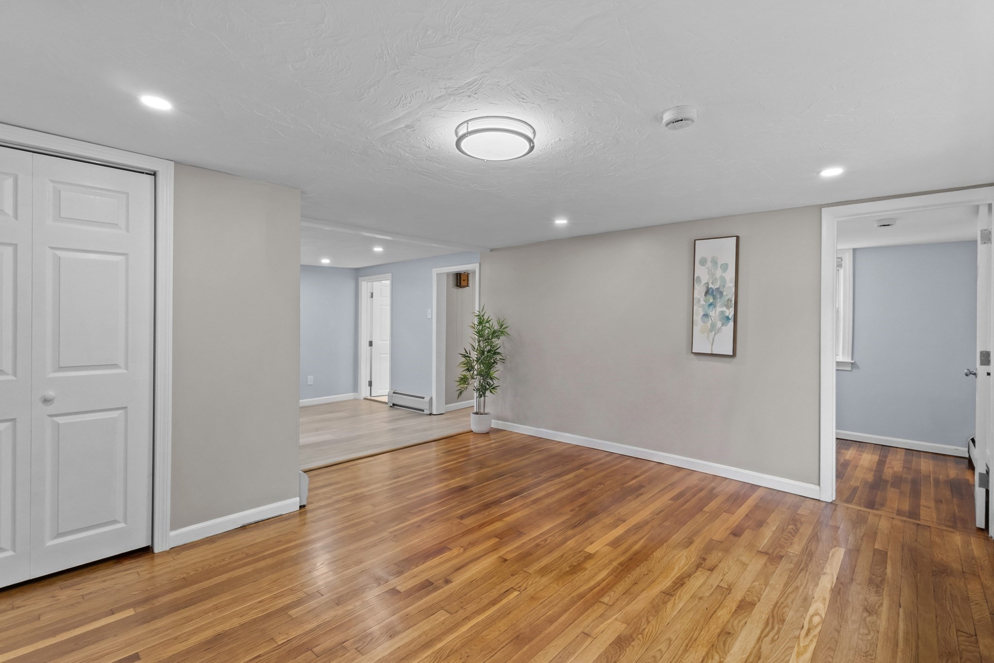 5 Phoenix St Property Photo 14