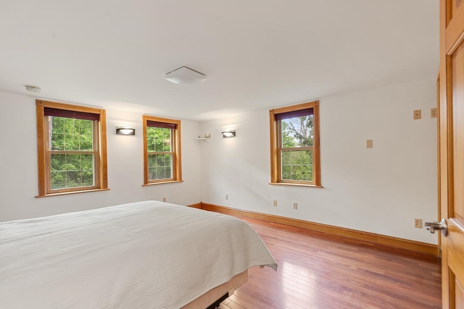 17 Pigeon Hill Street Property Photo 19