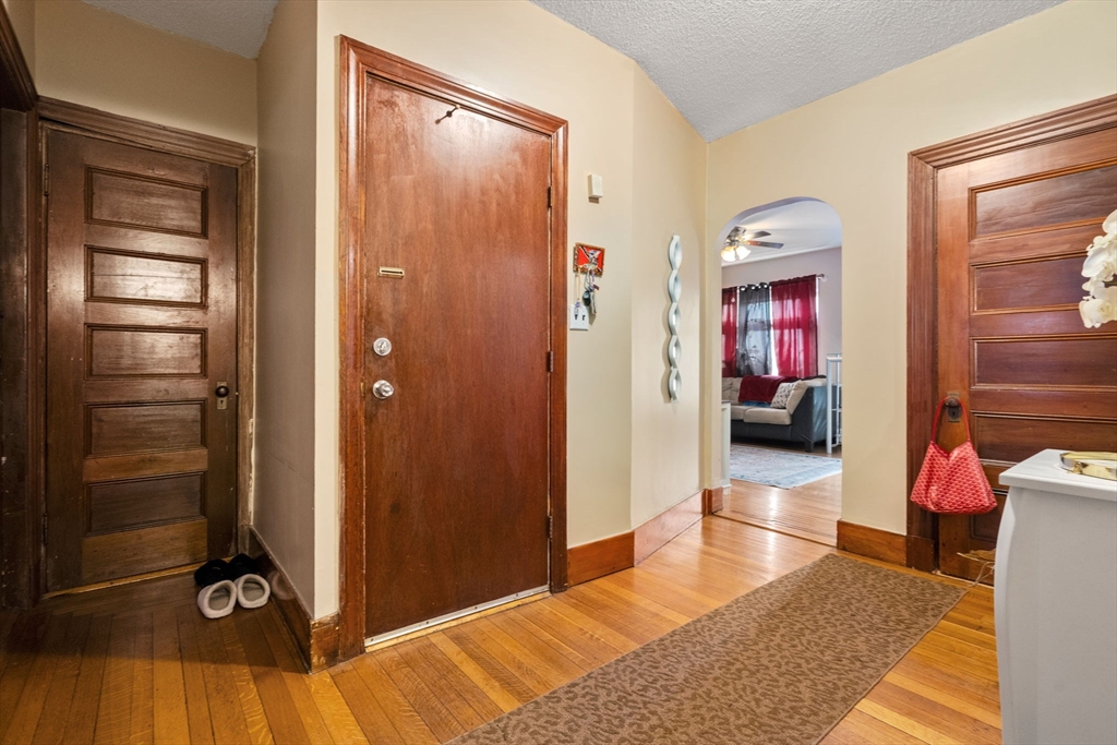 34 Bicknell St Property Photo 15