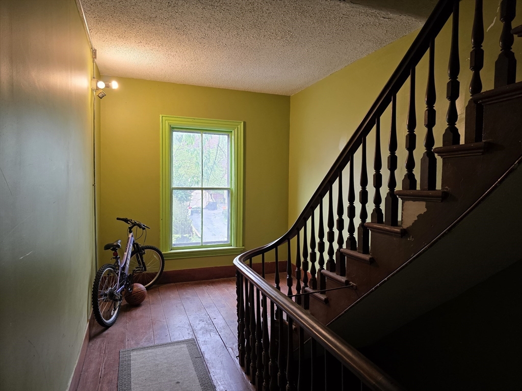 4 Home St Property Photo 14