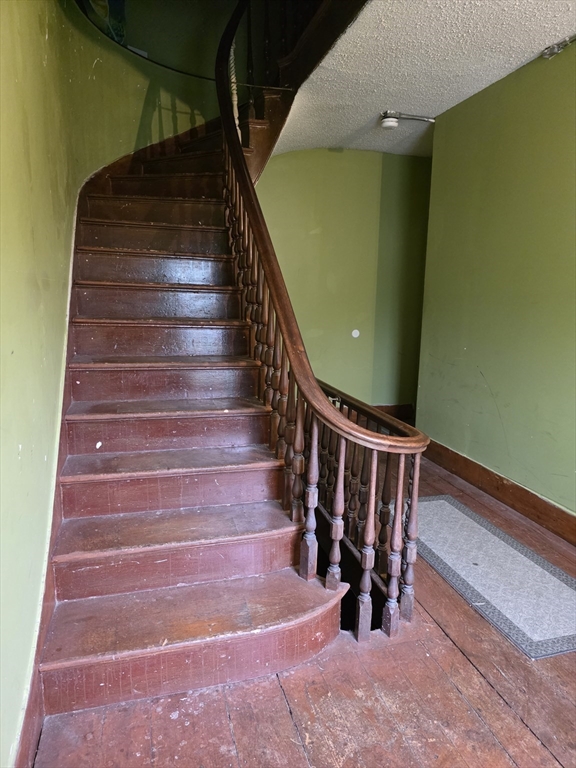 4 Home St Property Photo 16