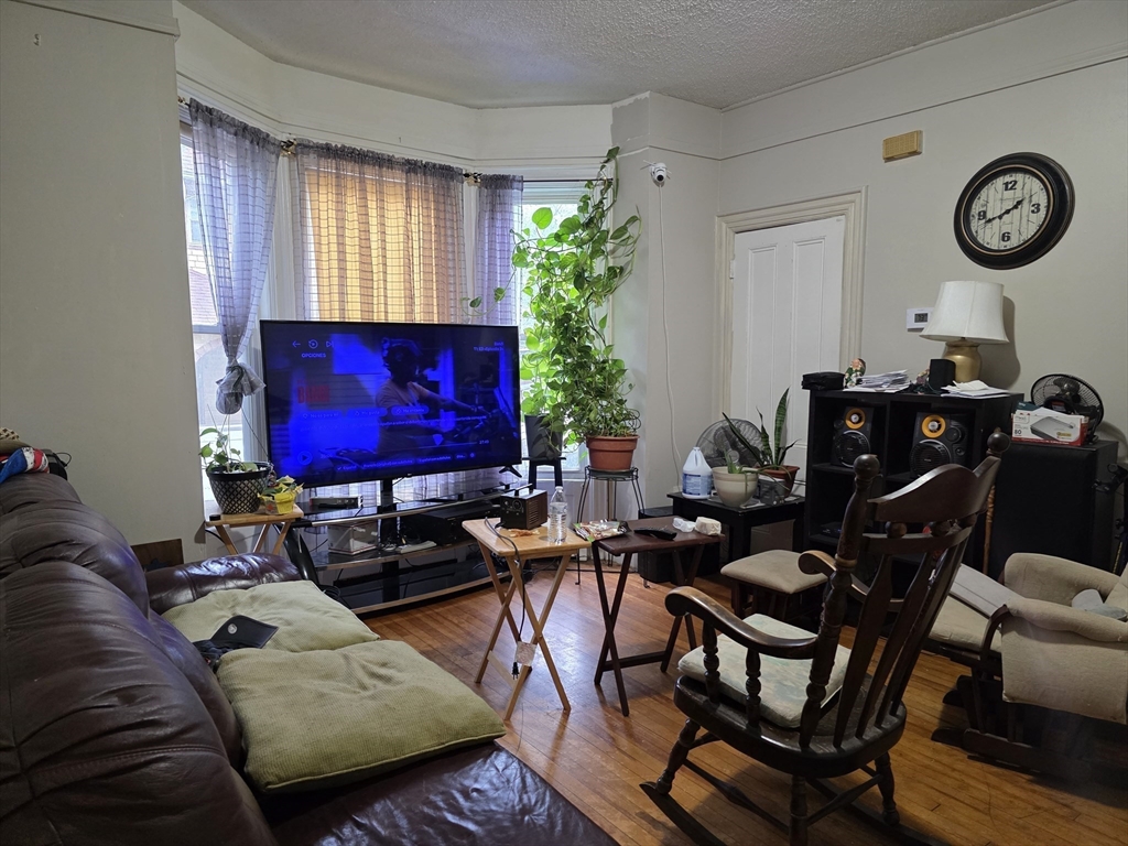 4 Home St Property Photo 17