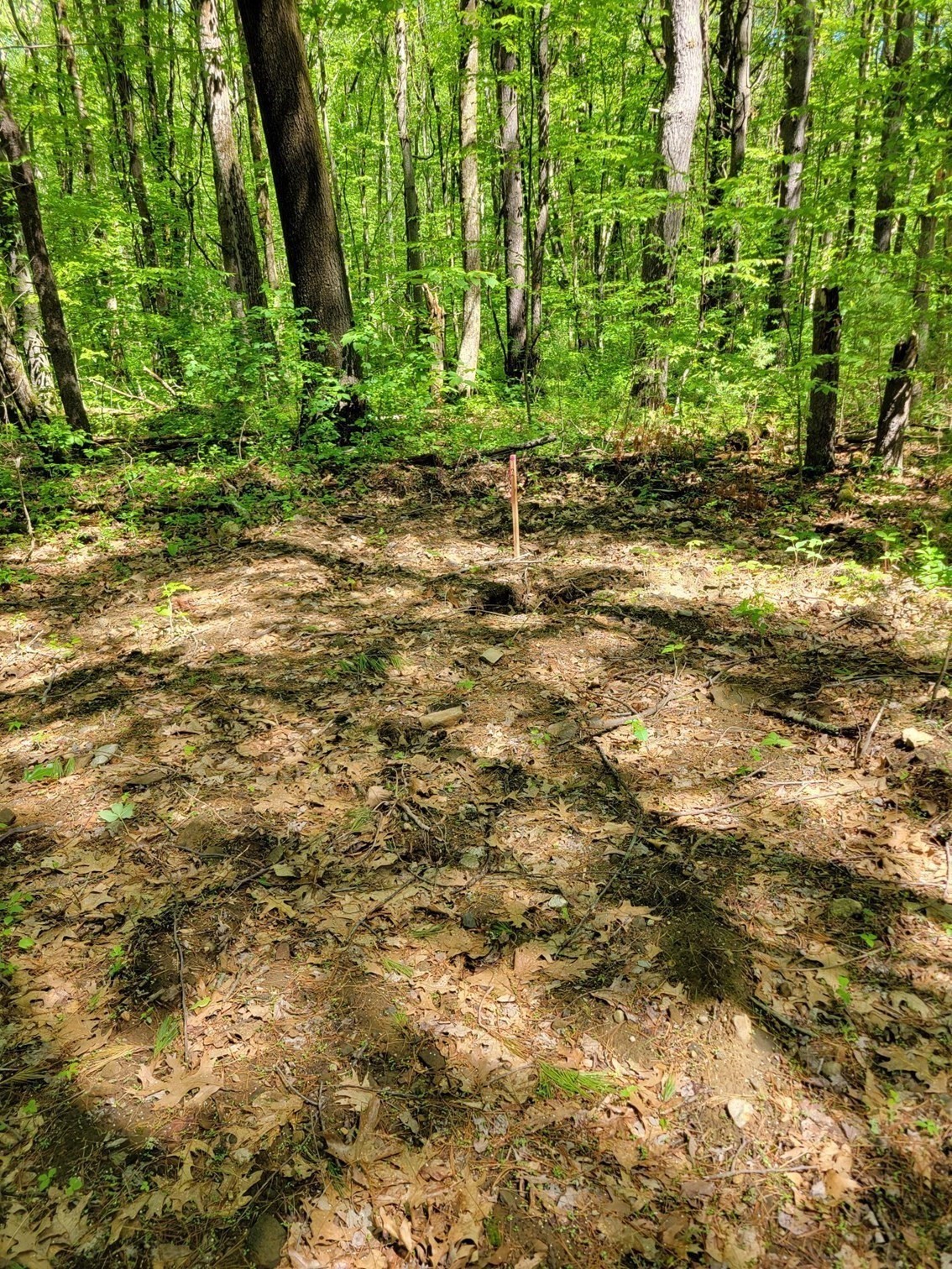 Lot 5 Daniels Rd Property Photo 3