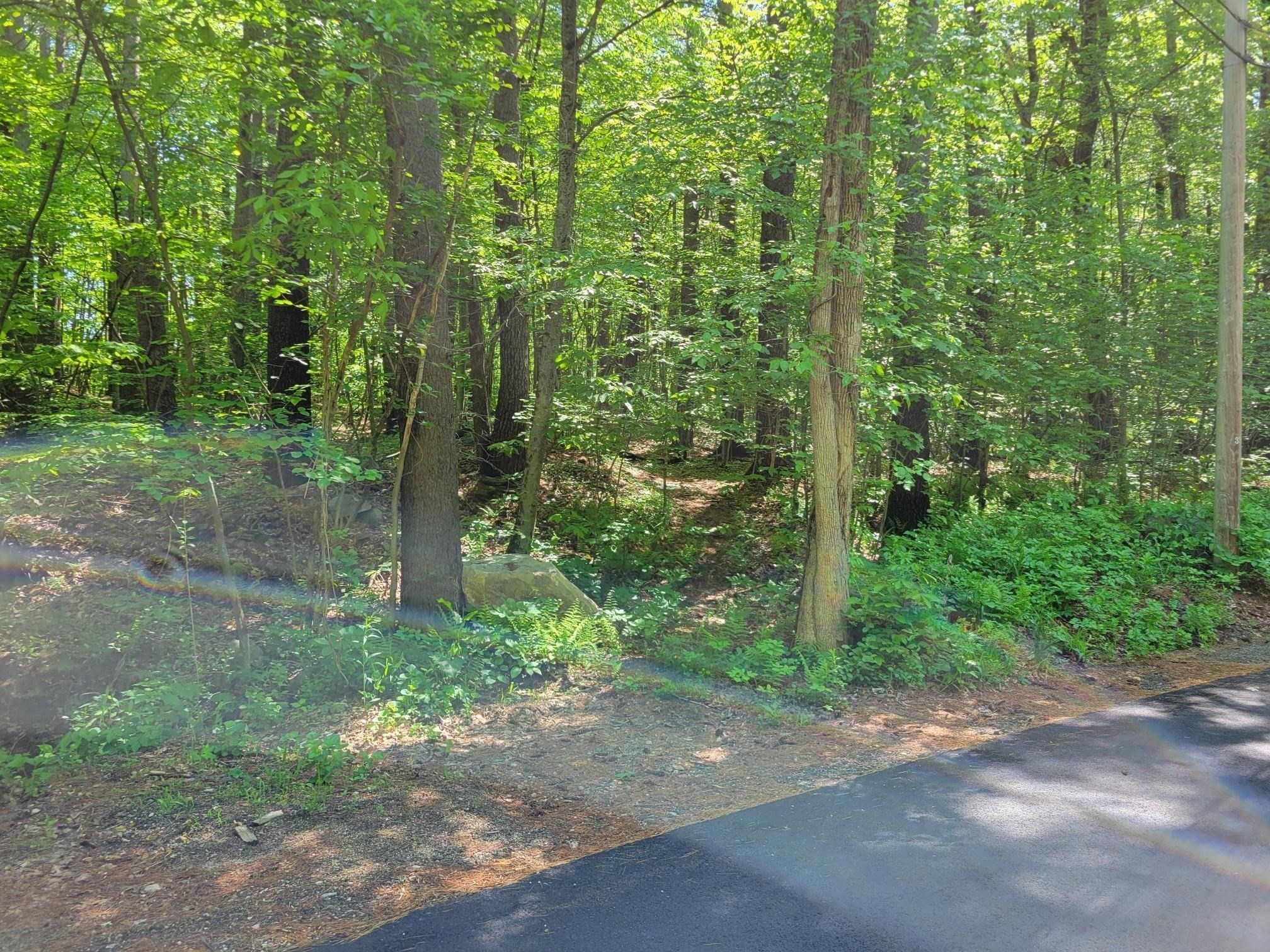 Lot 5 Daniels Rd Property Photo 8
