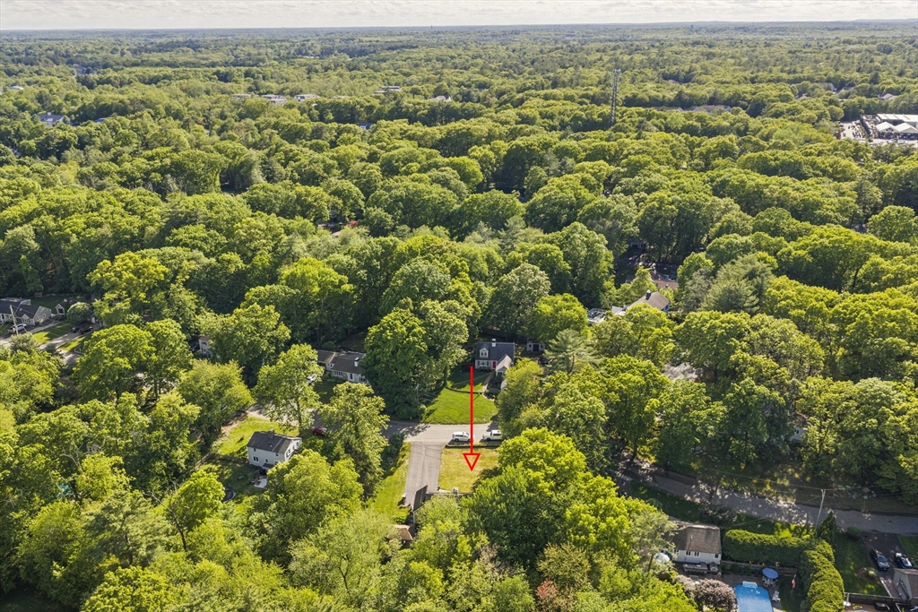 113 Colonel Hunt Dr Property Photo 35