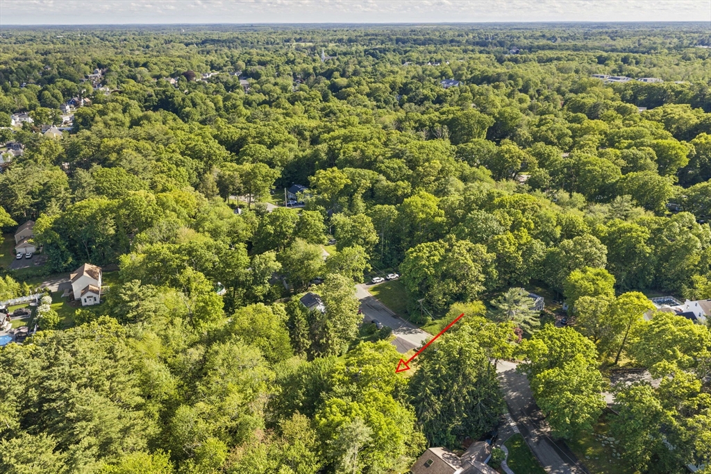 113 Colonel Hunt Dr Property Photo 36