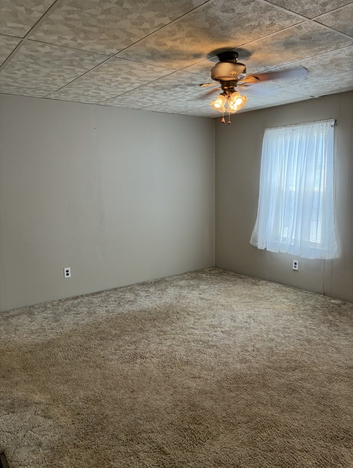 5 Anna St Property Photo 13