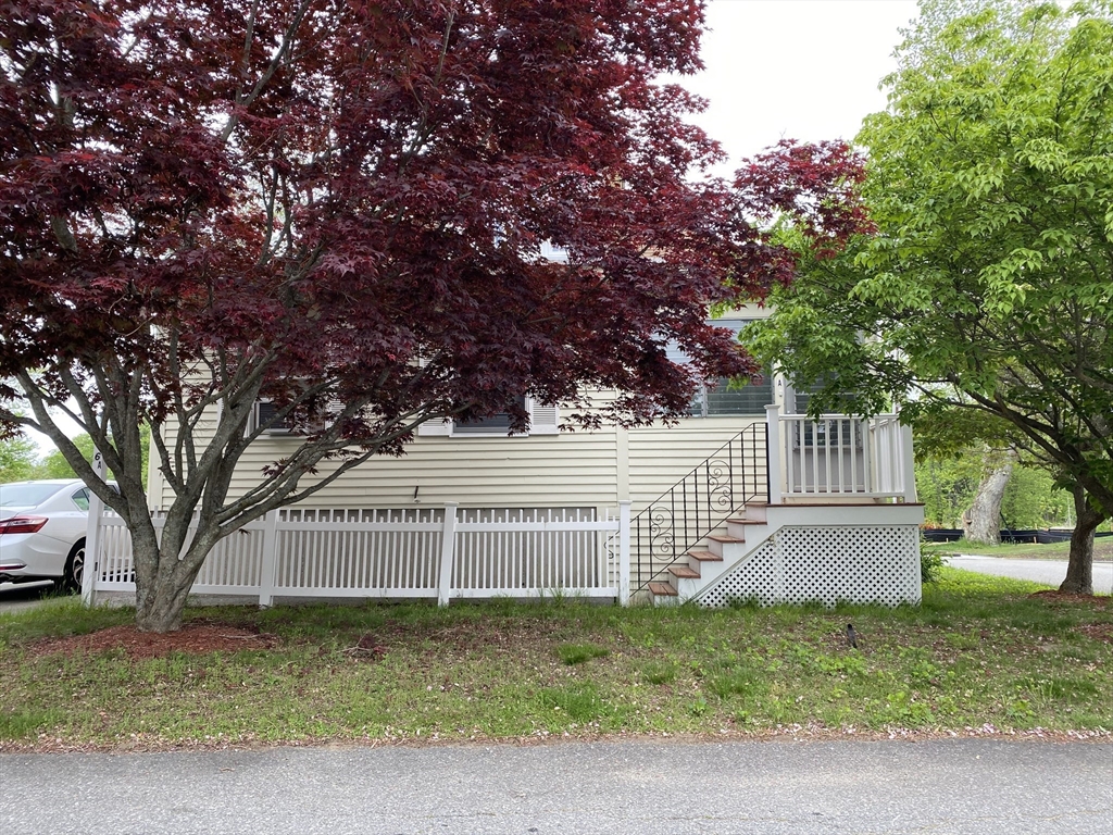 6 Amherst Street Property Photo 2