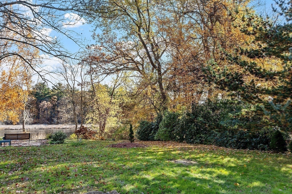 6 Amherst Street Property Photo 8