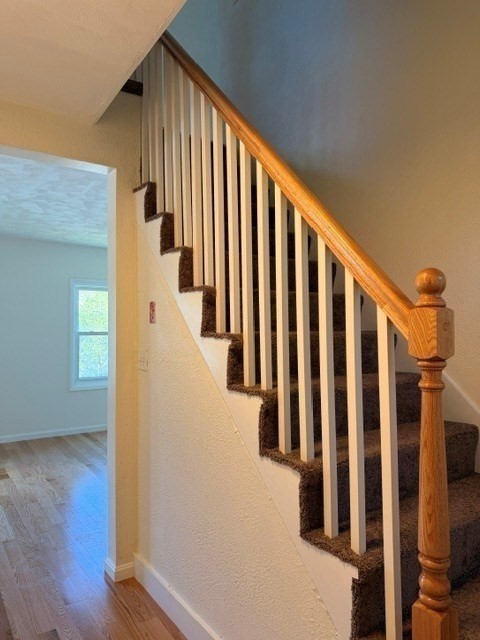 701 Mill St Property Photo 20