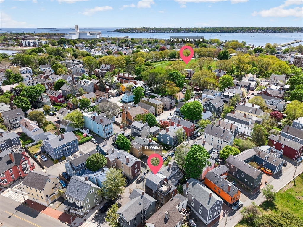31 Williams Street Property Photo 3